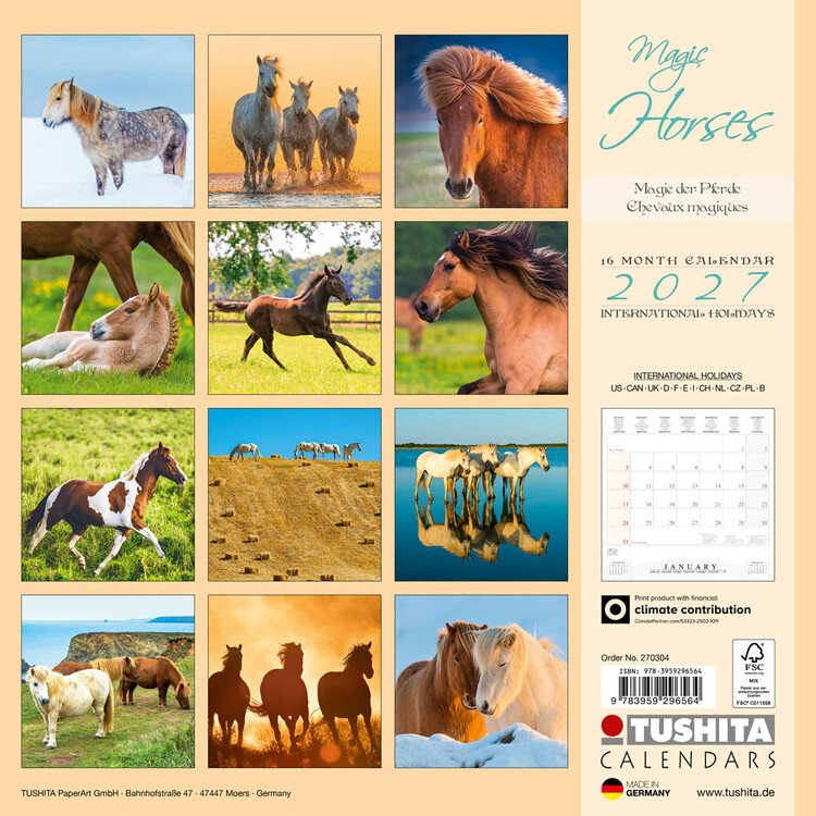 Kalender 2027 Magic Horses | 16-monatig