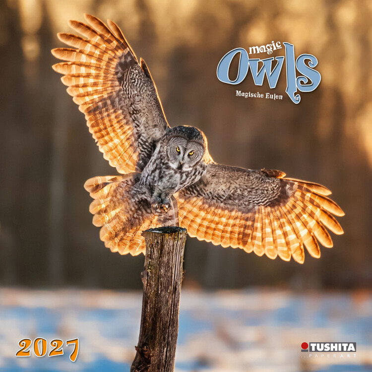 Kalender 2027 Magic Owls | 16-monatig