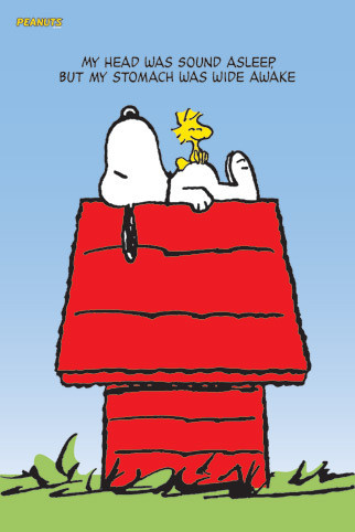 Poster SNOOPY & WOODSTOCK