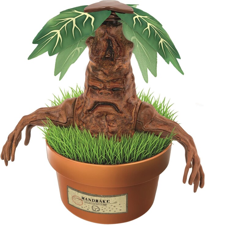 Creatieve set Harry Potter - Mandragora