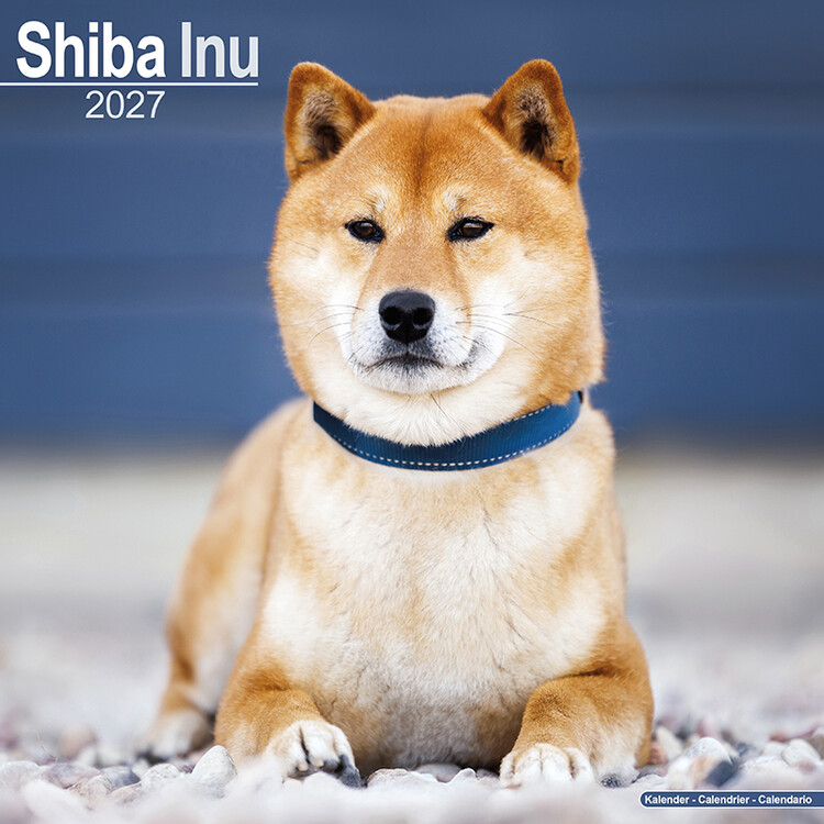Kalender 2027 Shiba Inu