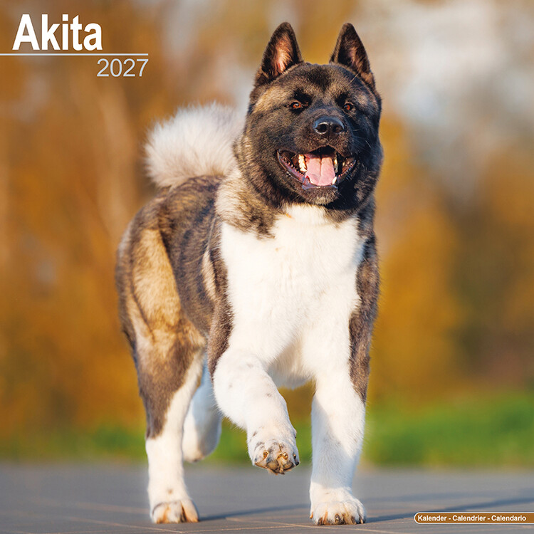 Naptár 2027 Akita
