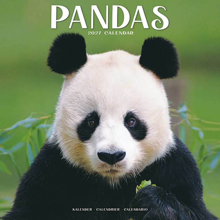 Kalender 2027 Pandas