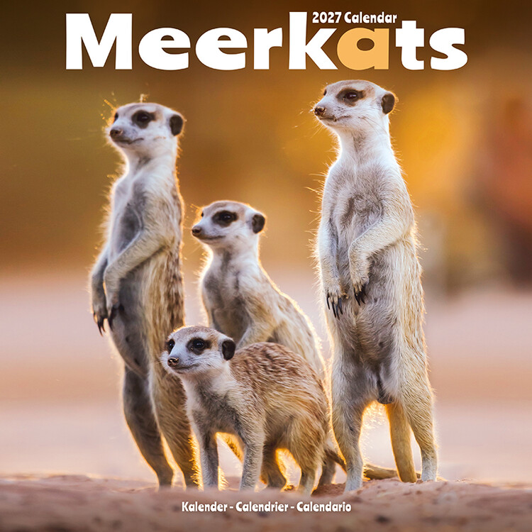 Calendar 2027 Meerkats