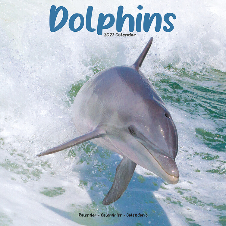 Naptár 2027 Delfinek