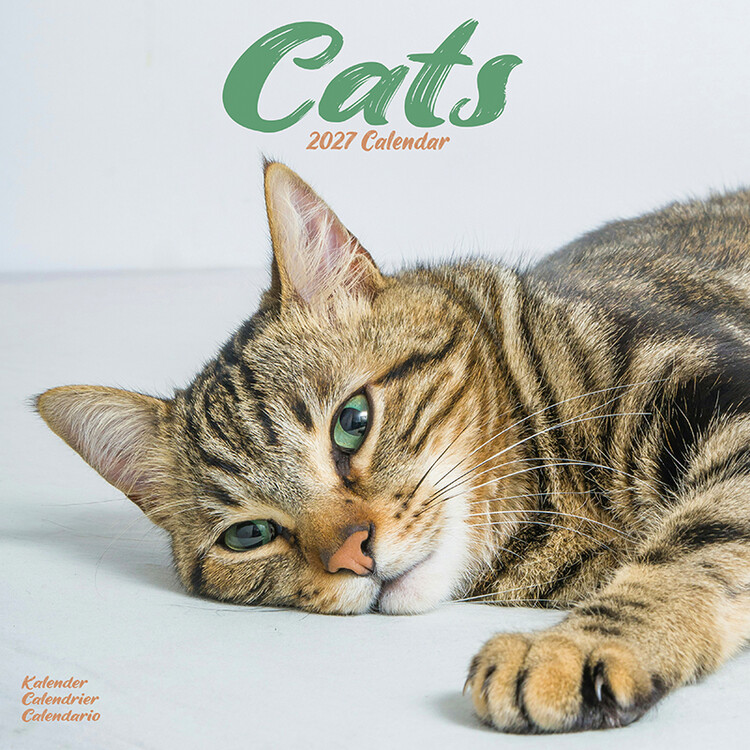 Calendar 2027 Cats