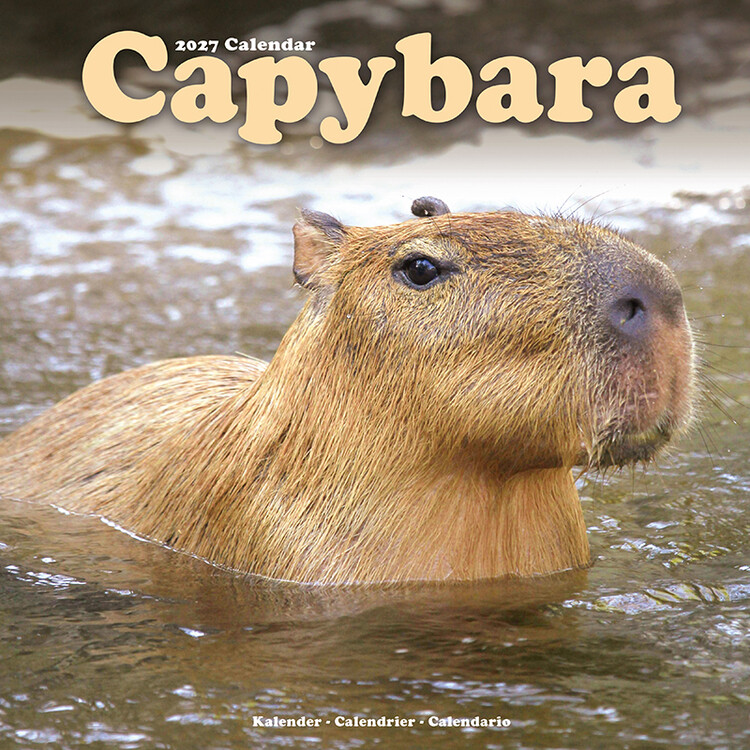 Kalendář 2027 Kapybary