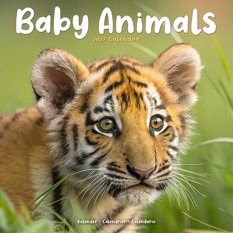 Kalender 2027 Tierbabys