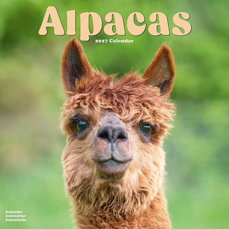 Kalendář 2027 Alpaky