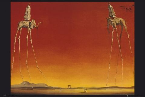 Plakát Salvador Dalí - sloni
