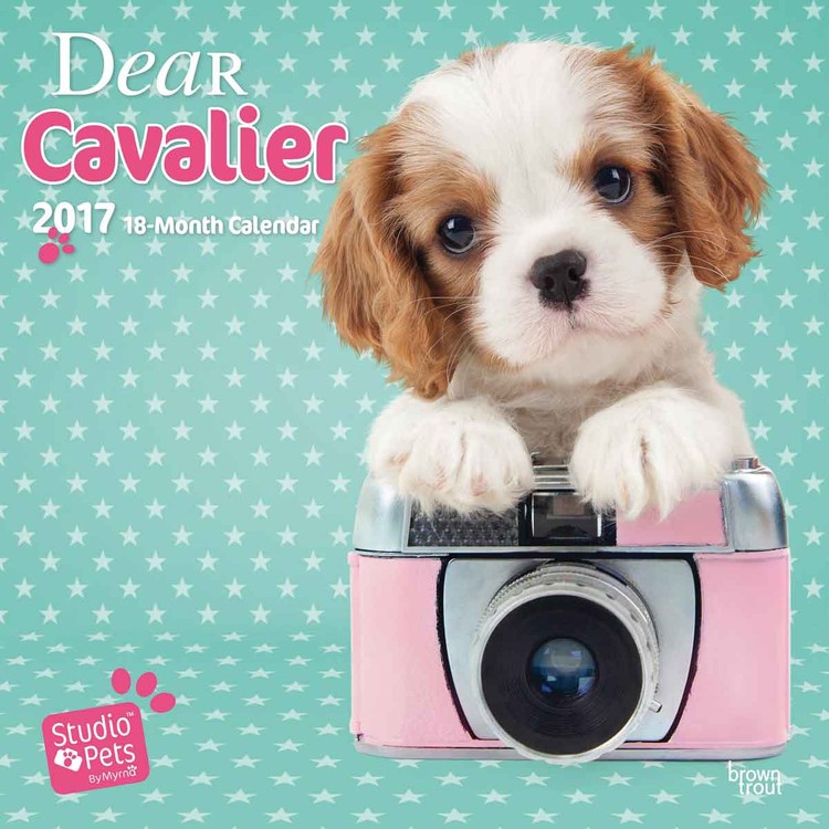 Kalender 2027 Dear Cavalier