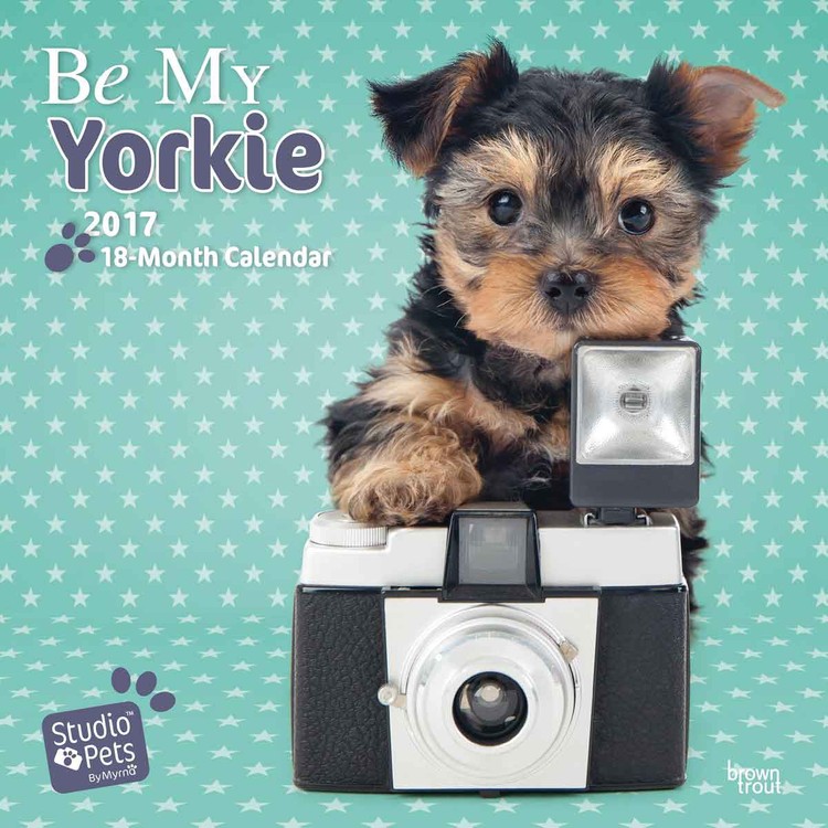 Calendario 2027 Be My Yorkie