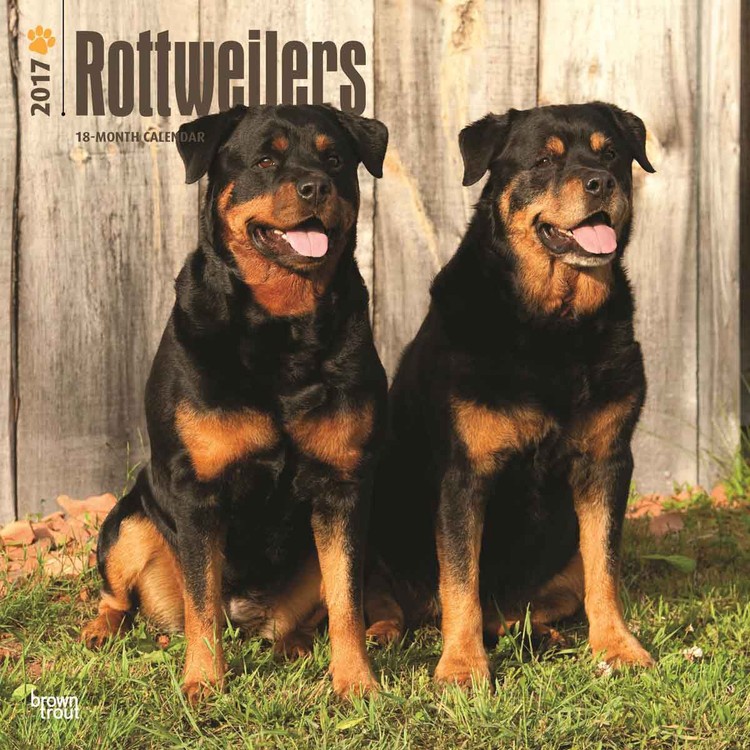 Calendar 2027 Rottweilers