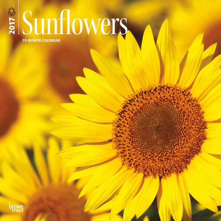 Calendar 2027 Sunflowers