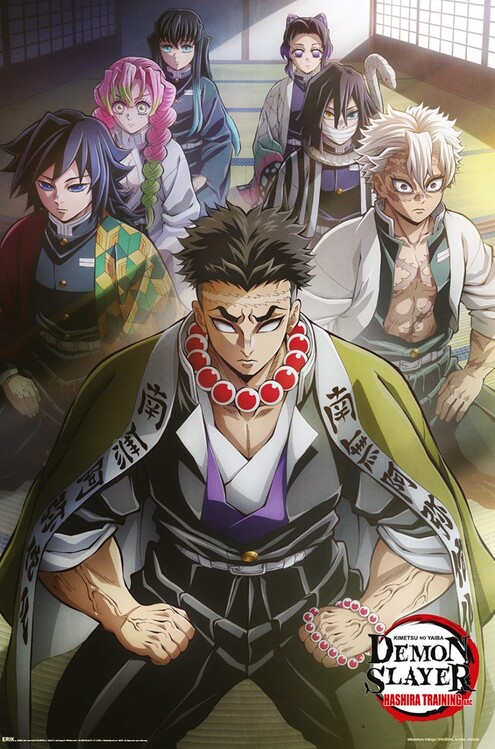 Poster Demon Slayer - Hashira Training