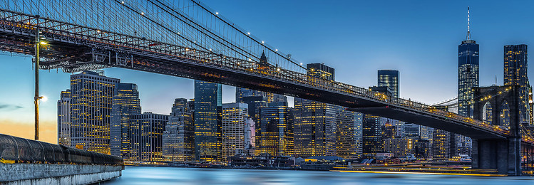 Fototapeta Blue Hour over New York
