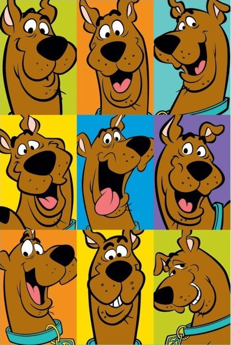 Poster SCOOBY DOO - faces