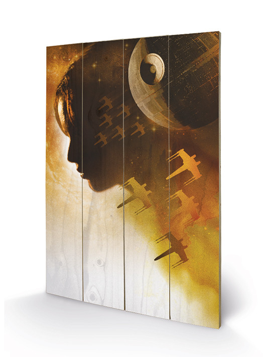 Poster su legno Rogue One: Star Wars Story - Jyn Silhouette