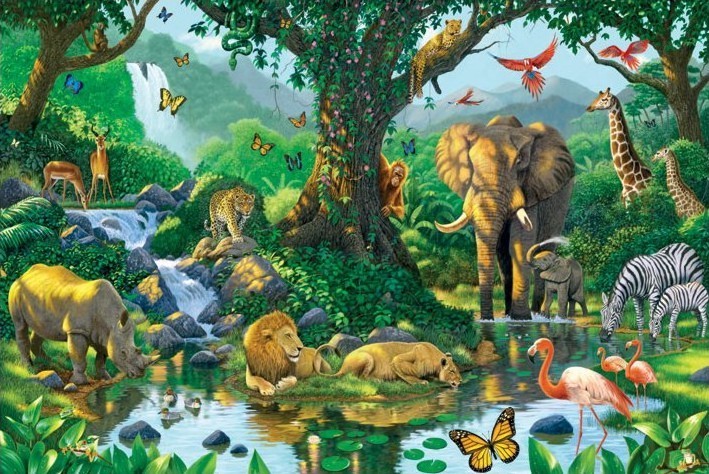 Poster Harmony - jungle