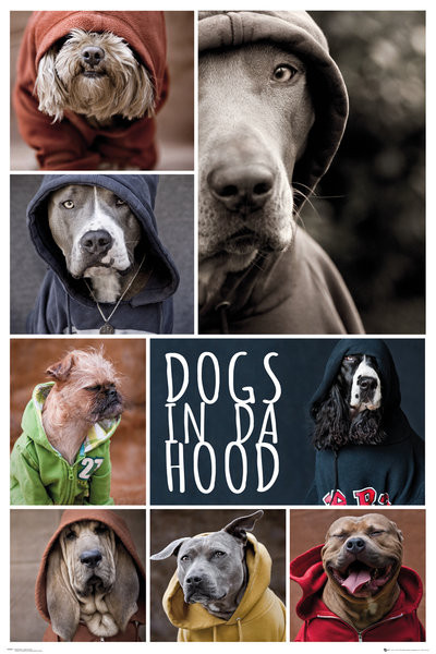Poster Dogs In Da Hood - Dogs