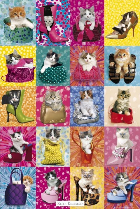 Poster Keith Kimberlin – cat collage