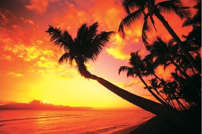 Poster Hawaiian Sunset II