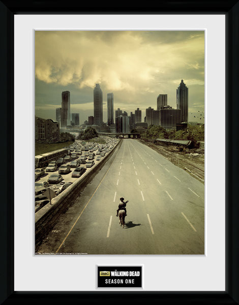 The Walking Dead Season 1 Poster Print – 11x17 Inches, TV Show Wall Art Reproduction