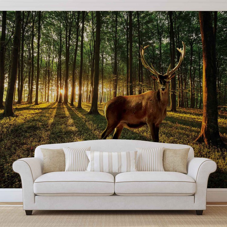 Behang Deer Forest Trees Nature