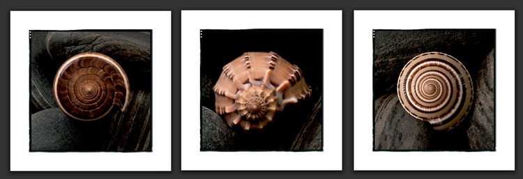 Art Print Spirales - 3 ks x 30x30cm