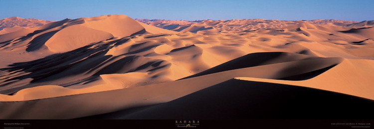 Reproduction d'art Sahara