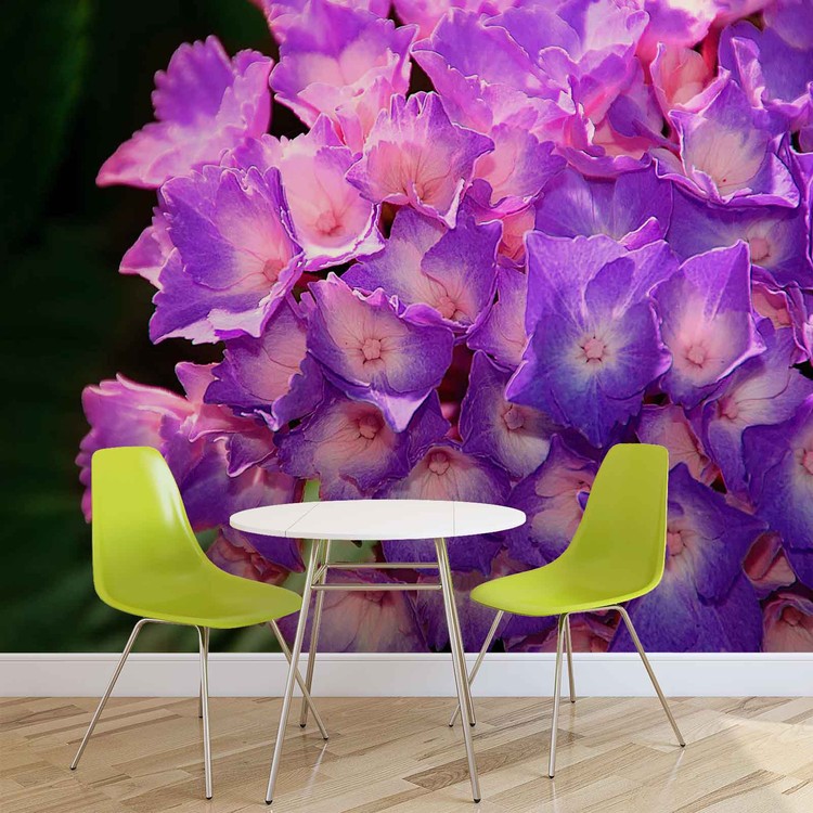 Wall Mural Flowers Hydrangea Purple