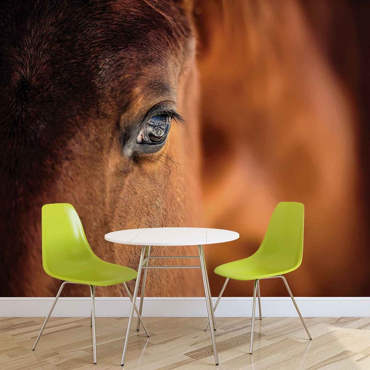 Behang Pony Cavallo