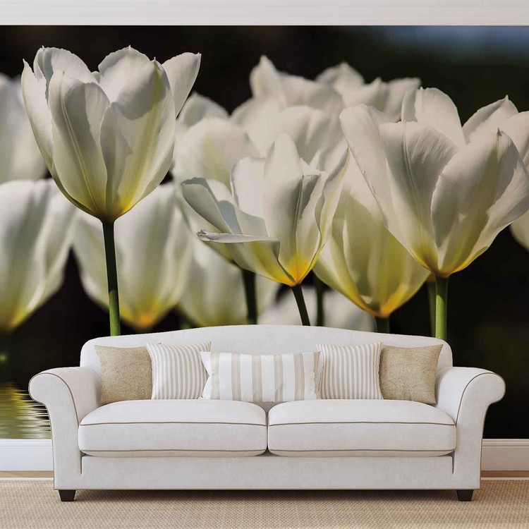 Fototapeta Květiny - tulipány