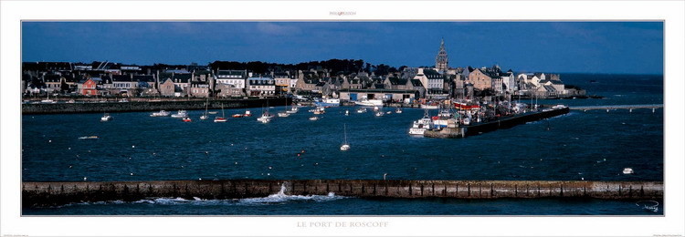 Reproduction d'art Le port de Roscoff