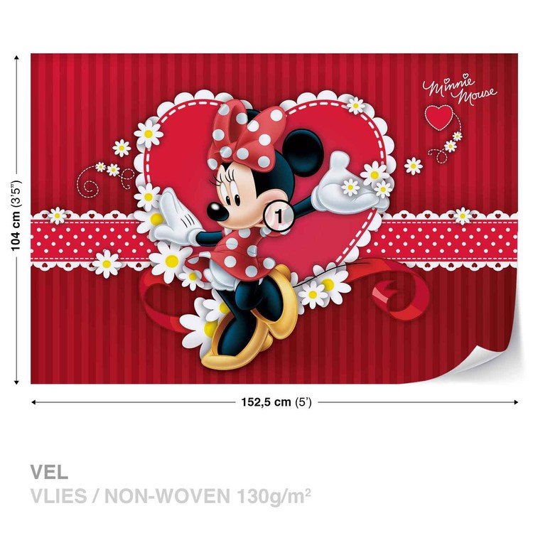 Discount Disney Minnie Mouse