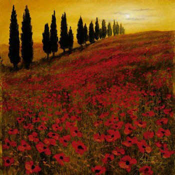 Umělecký tisk Poppies