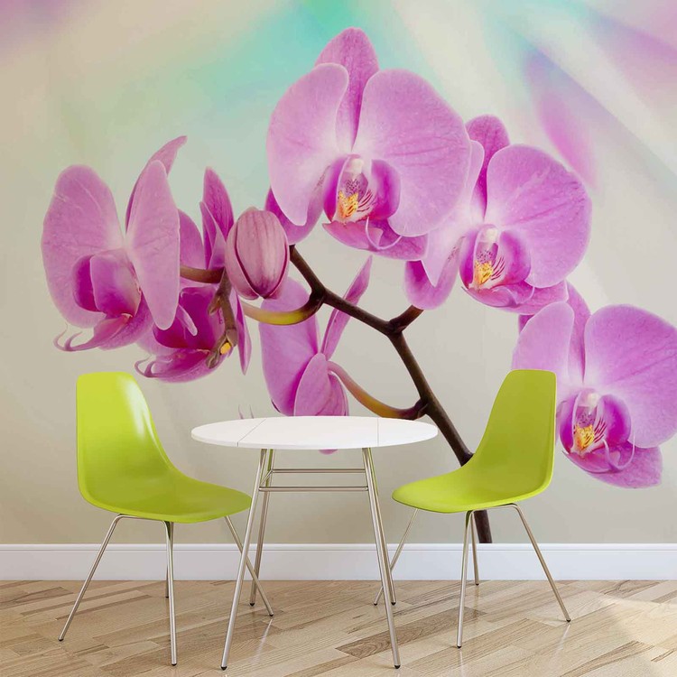 Behang Květiny Orchidej