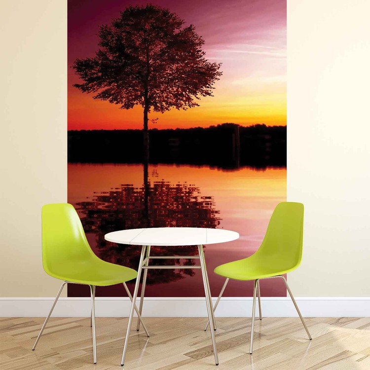 Behang Tree Lake Reflection Sunset Nature
