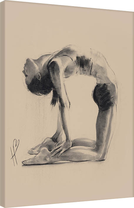 Obraz na plátně Hazel Bowman - Camel Pose