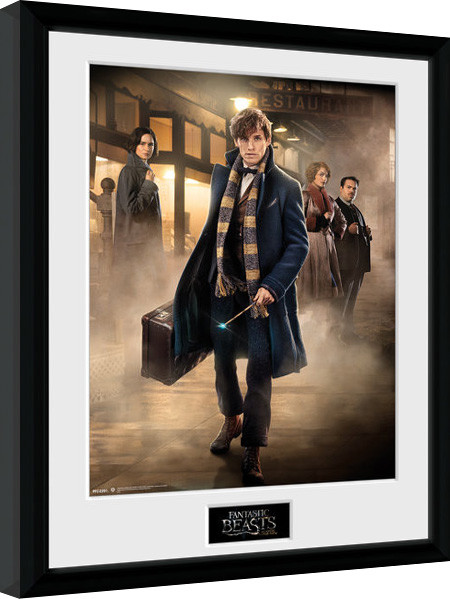 Poster incorniciato Animali fantastici e dove trovarli - Group Stand