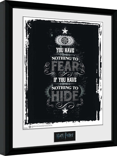 Oprawiony plakat Harry Potter - Fear