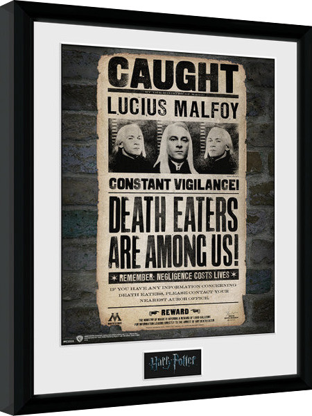 Zarámovaný plagát Harry Potter - Lucius