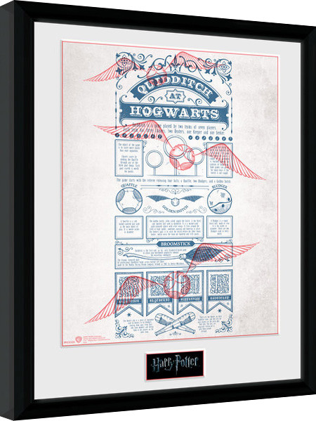 Gerahmte Poster Harry Potter - Quidditch at Hogwarts