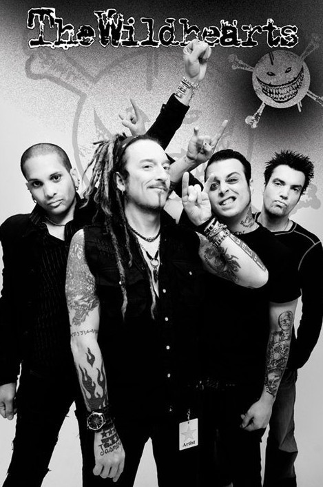 Plakát the Wildhearts - group