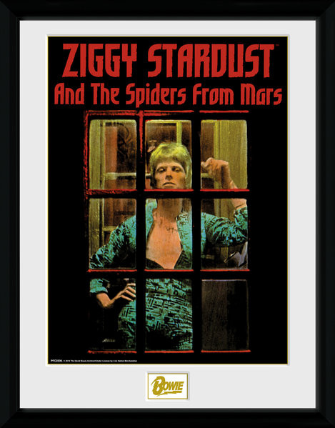 Bowie Spiders from Mars art orders print Canvas