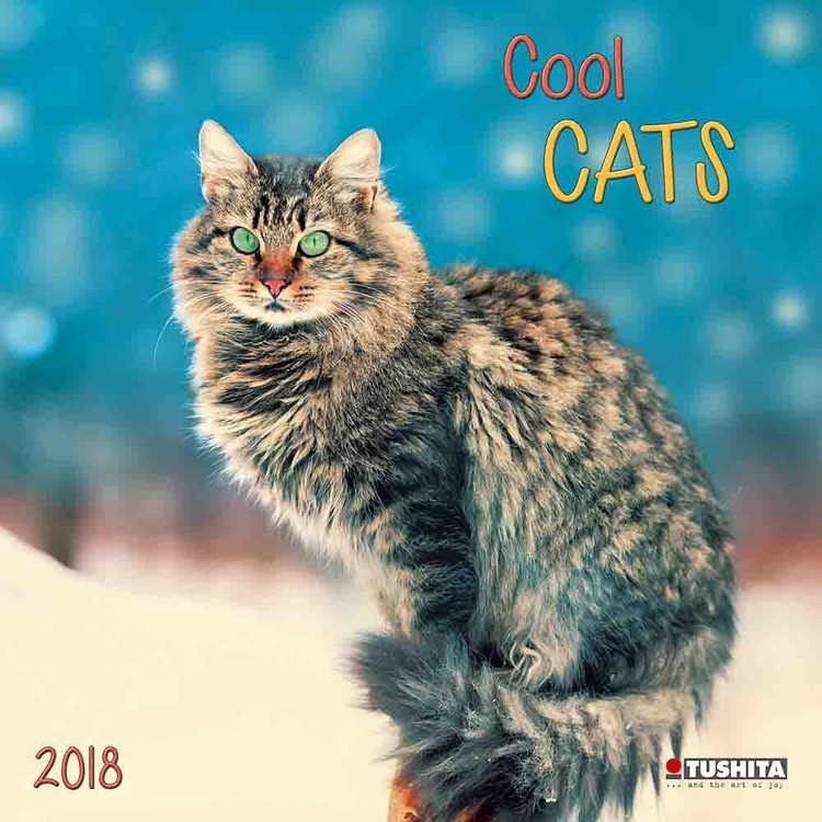 Kalendarz 2027 Cool Cats