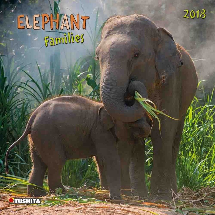 Calendario 2027 Elephant Families