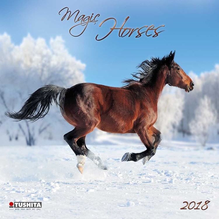 Kalendarz 2027 Magic Horses