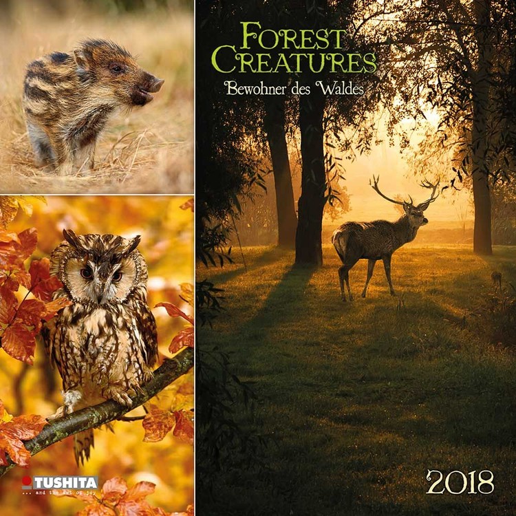 Kalender 2027 Forest Creatures