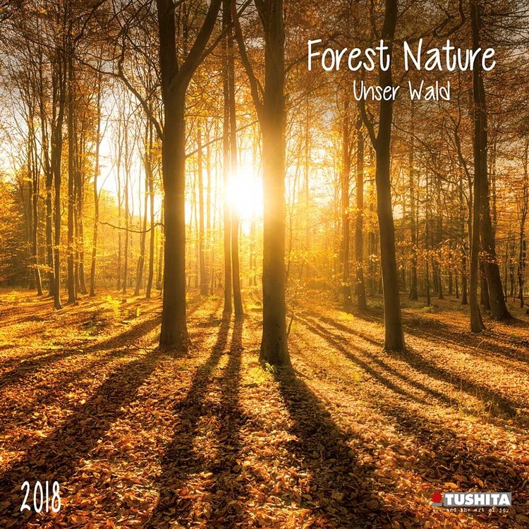 Calendario 2027 Forest Nature